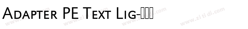 Adapter PE Text Lig字体转换